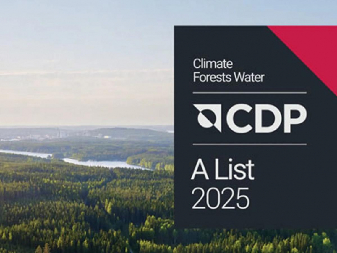 CDP 2025評比》台灣59家企業獲A級創新高，第一金拿下全台首個3A，玉山金、台達電、台泥拿雙A